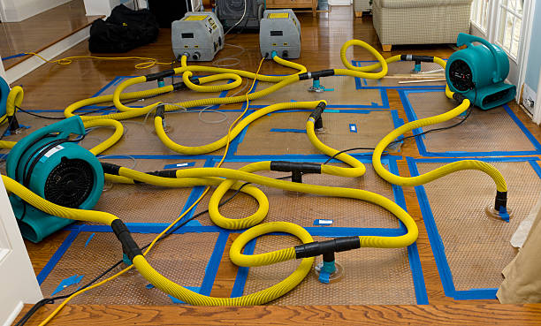 Professional Water Damage Repair technician working in Shelby, MI
